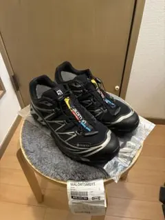 Salomon XT-6 GORE-TEX 27.5cm （※インソールなし）