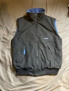 シェルドシンチラ ベスト