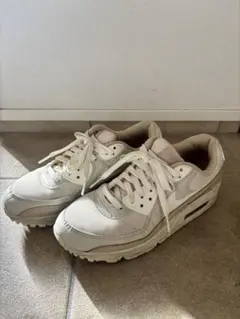 Nike Air Max 90 ( 24.5 )