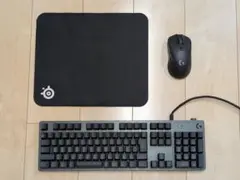 Logicool G512 CARBON＆G703 ゲーミングキーボード・マウス