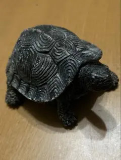亀