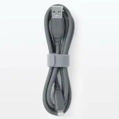 lightningケーブル Lightningケーブル