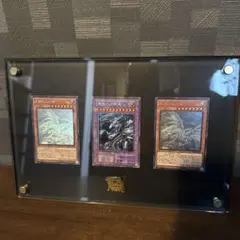 ヤ*ス様 遊戯王　海馬セット　特製ディスプレイケース　ホロ2枚　シク1枚セット