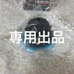専用出品