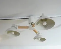 Item thumbnail for item 230d919f-6524-4bdb-a8db-19b75f1f21d8