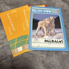 漢字ノート 50字 3冊セット