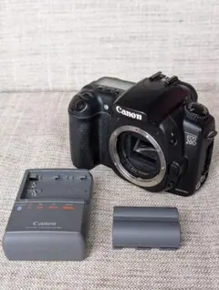 Canon キヤノン EOS 20D バッテリー2個 ACアダプター ジャンク扱