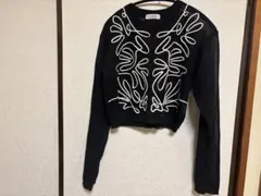 PAGEBOY 春ニット クロップド丈 コードレースシアーニットプルオーバーのサムネイル