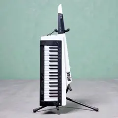 2026年最新】korg rk-100sの人気アイテム - メルカリ
