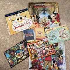 ディズニー ファンダフルディズニー ラゲッジタグ カレンダー チャーム レア