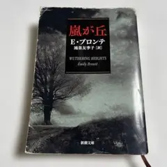 嵐が丘