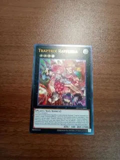 遊戯王（英語版）フレシアの蠱惑魔（レリーフ） Amazon.co.jp: RA02-EN034 フレシアの蟲惑魔 Traptrix Rafflesia