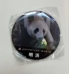 陽浜☆缶バッジ☆アドベンチャーワールド☆パンダ - メルカリ