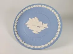 未使用【WEDGWOOD Home】クィーンズウェア(女王の陶器) プレート25
