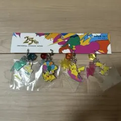 ひな様ピカチュウ チャームセット 25周年記念✖️2個セット - メルカリ