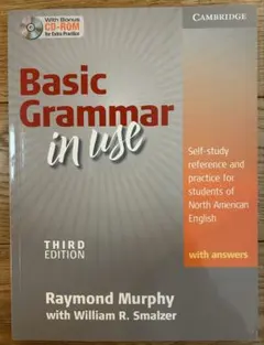 Basic Grammar in use 第3版