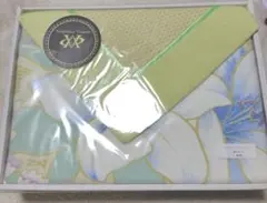 Item thumbnail for item 0ddea661-d393-487c-9d0c-8a5582fe3785