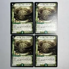 12885 シェルフォートレス