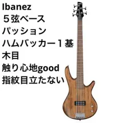 AKAI Nineteen Ninetyseven 4弦用 ベース ボディ - メルカリ