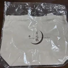 Item thumbnail for item ecd60755-ca26-4d30-865e-162a98a13720