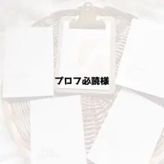 プロフ必読 さま 専用ページ