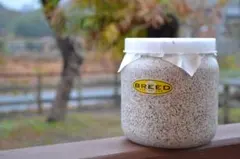 BREED　１５００菌糸ビン　2本　みの様