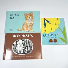 【美品】福音館書店　絵本　3冊セット ちいさなねこ　とけいのほん① またもりへ