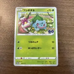 2025年最新】フシギダネプロモの人気アイテム - メルカリ