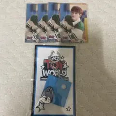 スキズ トイワールド オンラインくじ バンチャン 5点セット