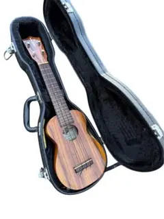 Item thumbnail for item 5e6756c3-42d4-4385-bdb5-9b2851419a0d