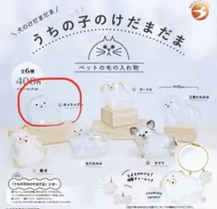 Item thumbnail for item ae787233-07c1-4051-b2b1-e51f15753f3e