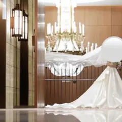 タカミブライダル　ロングベール　 OW-L ウェーブベール