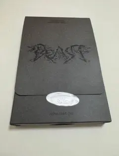 ald1 少年beast postcard ver. ポストカード アルバム