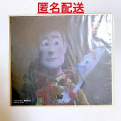 ディズニー ピクサー トイストーリー　ミニ色紙 ウッディ フォーキー 色紙