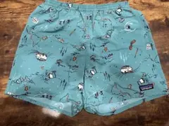 patagonia バギーズショーツ　5インチ　S