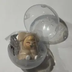 SKZOO ライトマスコット　パピーム