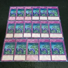 ゆういちろう様 リクエスト 2点 まとめ商品