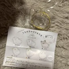 うちの子のけだまだま 三角たれみみ