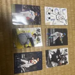 プロ野球 カルビー トレーディングカードセット