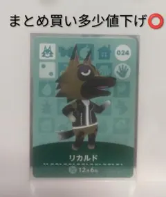 あつまれどうぶつの森 amibo リカルド