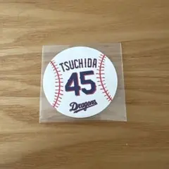 Item thumbnail for item ccfdda8f-a960-4520-825f-e649373c61f0