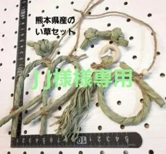 J J様 リクエスト 3点 まとめ商品〖31〗バードトイ　文鳥　インコ