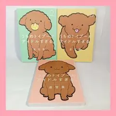 うちのトイプーがアイドルすぎる。1〜3