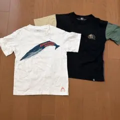 KIDSTシャツ2枚セットのサムネイル