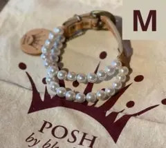 Item thumbnail for item d938f655-117d-47f8-bac4-b8220a7169ec