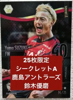 鈴木優磨 鹿島アントラーズ ACL 2018 MVP フォトフレーム 鈴木優磨 鹿島アントラーズ ACL 2018 MVP フォトフレーム - メルカリ