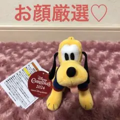ディズニープルート ぬいぐるみバッジ クリスマス 2024