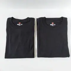 ヘインズ BEEFY-T ビーフィーTシャツ M/M(38-40) 2枚 未使用