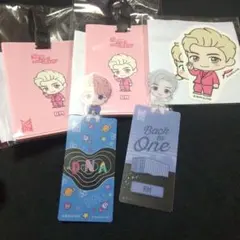 BTS RM 남준 러기지 태그&스티커&북마크 세트
