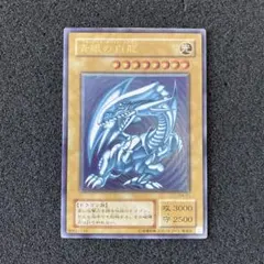 芽様　専用　遊戯王　青艶　青眼の白龍　ブルーアイズ・ホワイト・ドラゴン　レリーフ